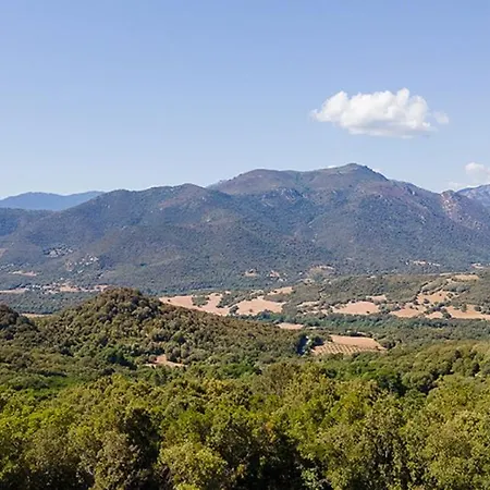 Au Coeur De L'Arriere Pays Domaine A Presa Villas Avec Piscine Privee & Chauffee Matra  Buitenkant foto