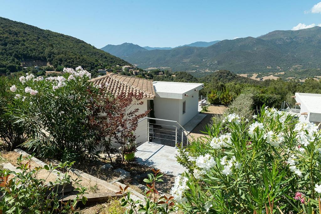 Villa Au Coeur De L'arriere Pays Domaine A Presa Avec Piscine Privee & Chauffee *